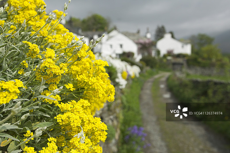 特鲁贝克的小屋前景是夏日鲜花。图片素材