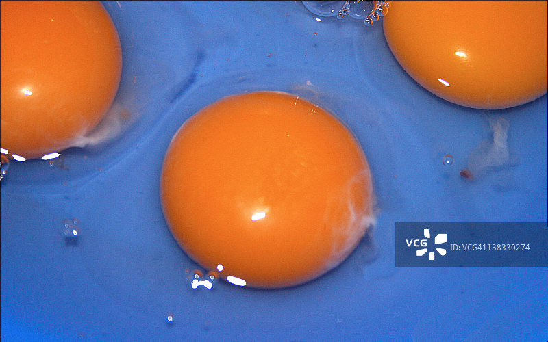 鸡蛋蛋黄图片素材