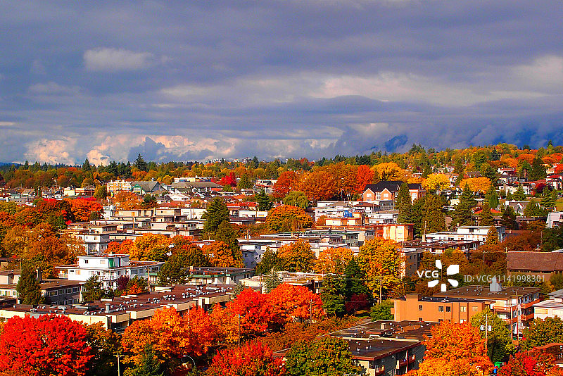 温哥华美丽的秋色图片素材