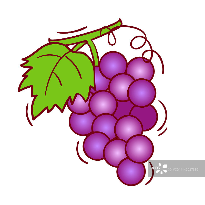 一串葡萄的插图图片素材