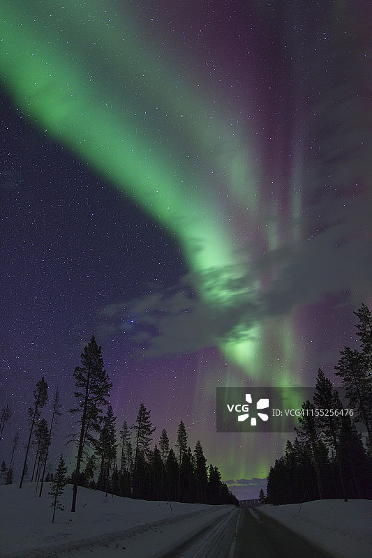瑞典北极地区松树上的北极光图片素材
