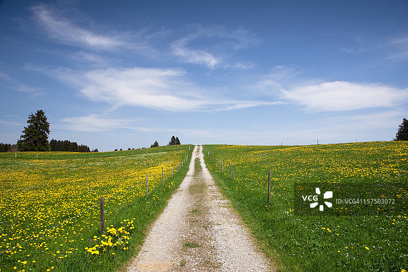 草地上的小路，春天，巴伐利亚-德国图片素材
