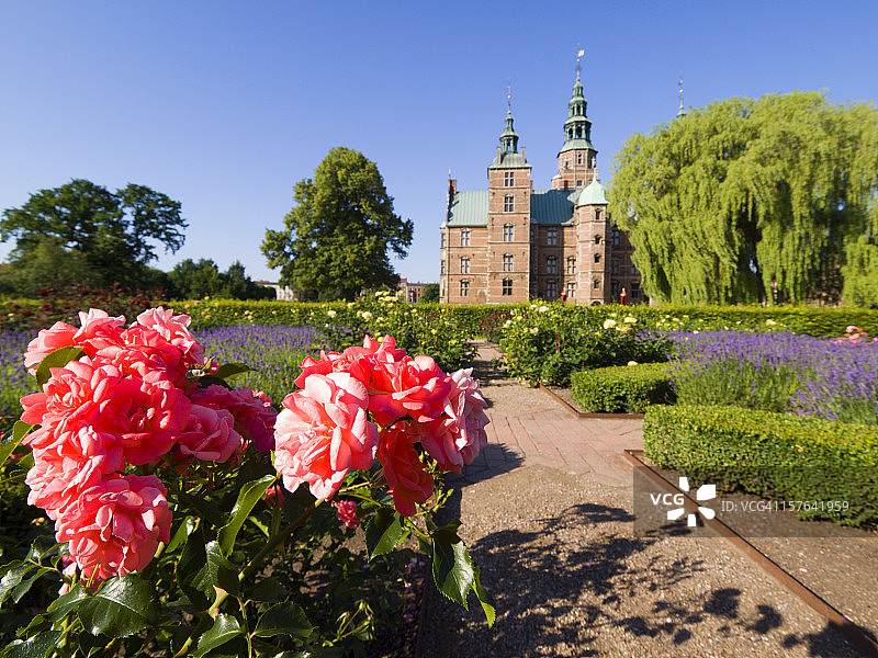 粉红玫瑰和罗森堡城堡图片素材