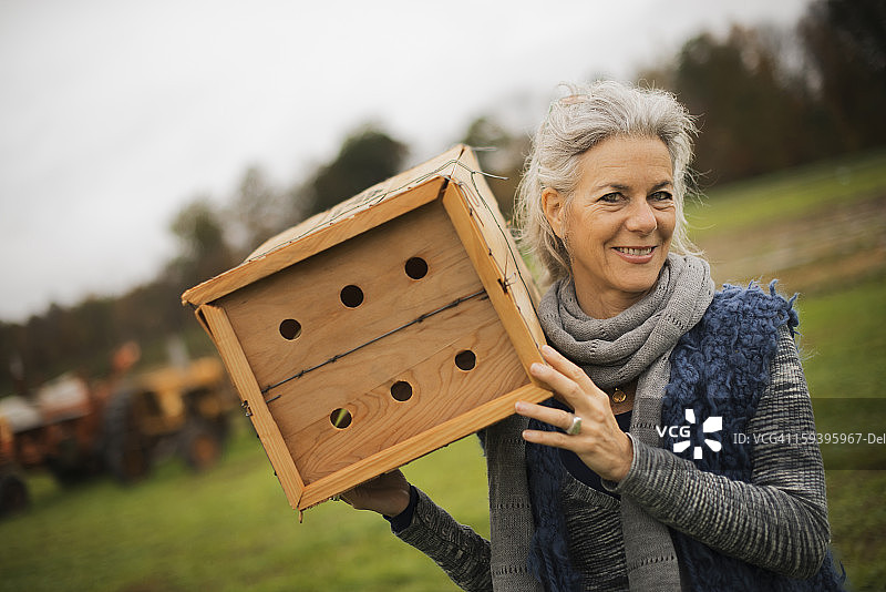 有机农夫在工作。一个女人拿着一个虫子箱，一个木制的有洞的盒子，昆虫可以在里面筑巢。图片素材