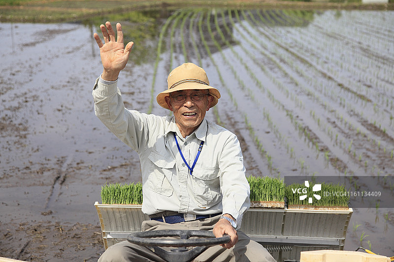 农民用水稻播种机种植水稻图片素材