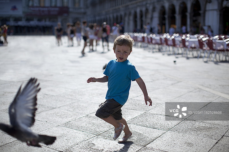 男孩和鸽子在威尼斯的圣马尔广场图片素材