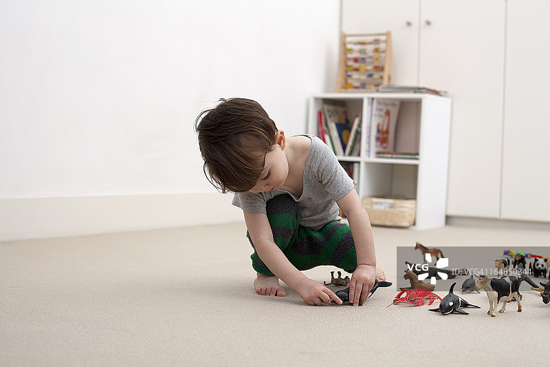 一个小男孩在他卧室的地板上玩一些玩具动物雕像图片素材