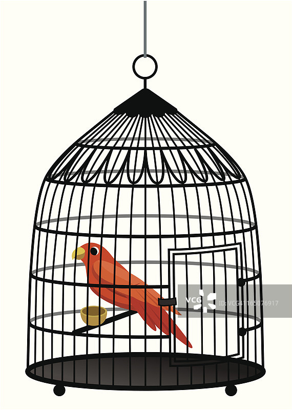 鸟在笼子里图片素材