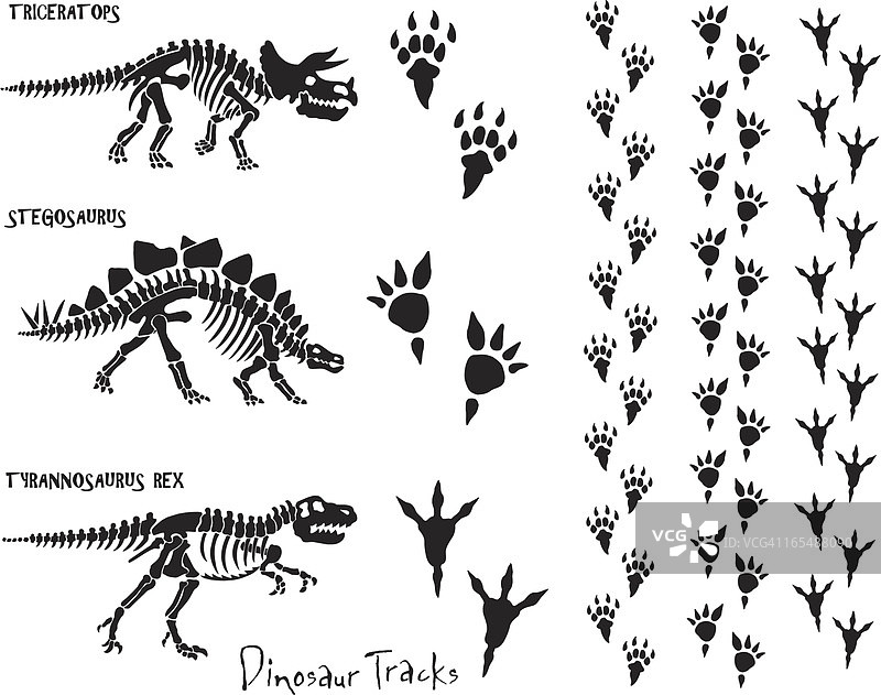 恐龙骨架和脚印图片素材