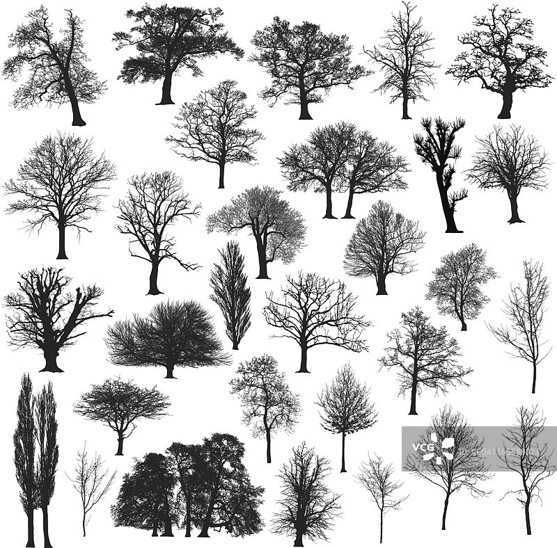 冬季树木剪影集图片素材