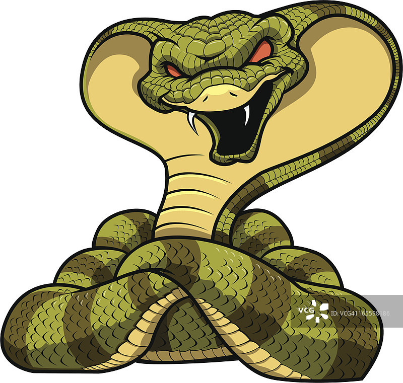 眼镜蛇Mascot图片素材