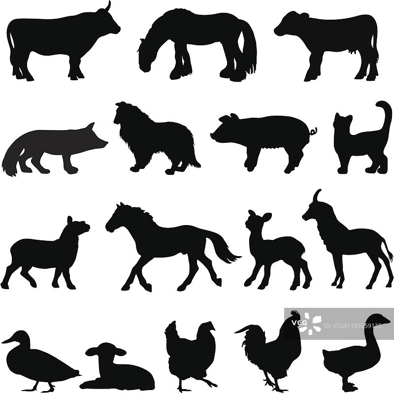 农场动物轮廓图片素材