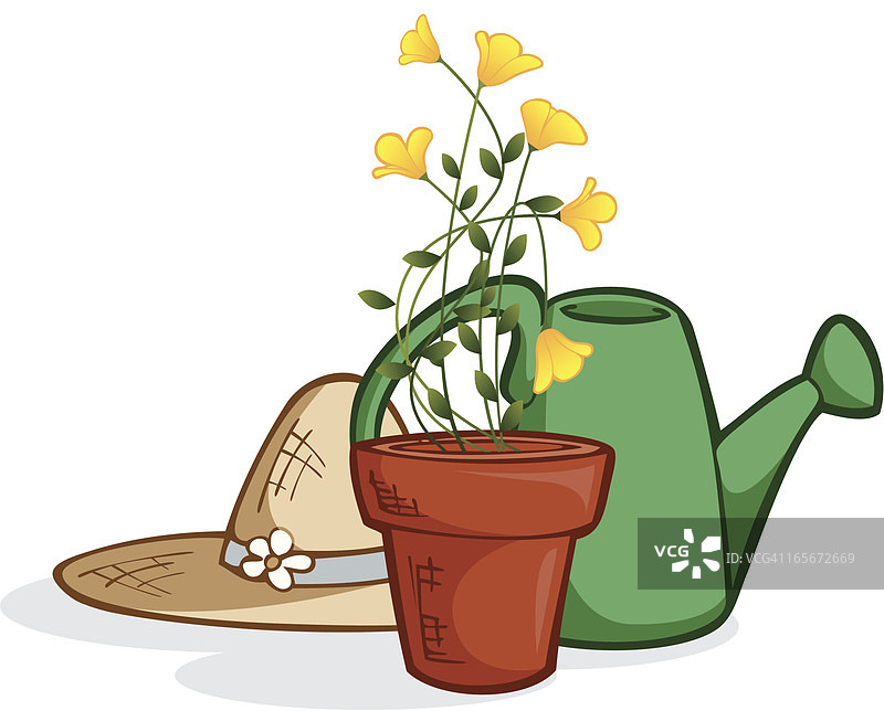 植物爱好-花卉图片素材