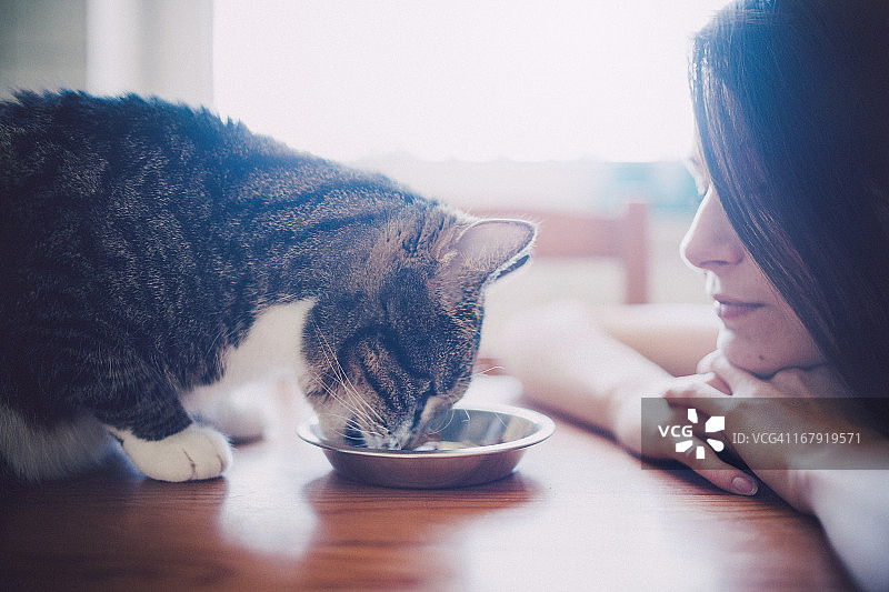 一个女人看着她吃的猫。图片素材