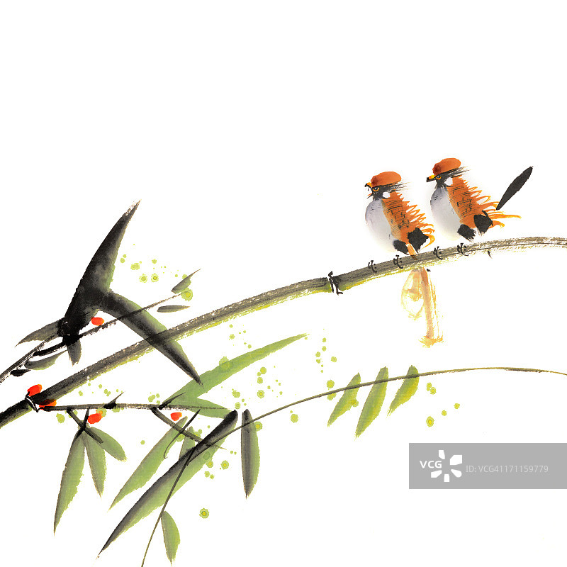 中国鸟画图片素材
