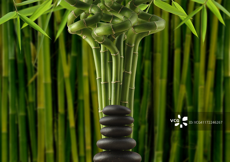 竹子的平衡图片素材