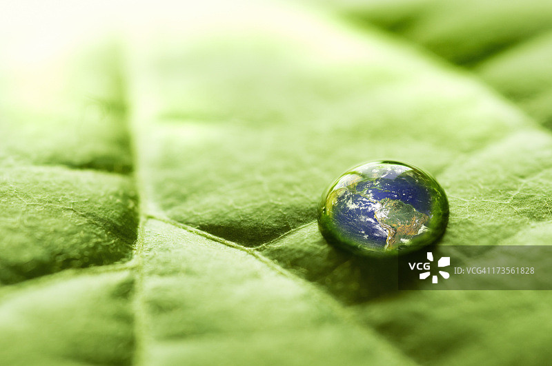 水滴在绿叶上，地球在里面反射图片素材