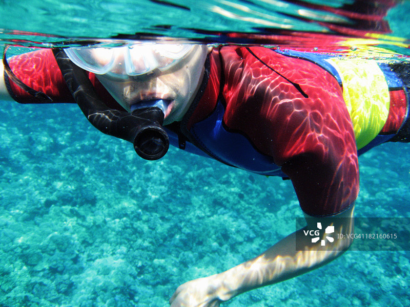 夏威夷毛伊岛，一名男子穿着潜水服在水下浮潜图片素材