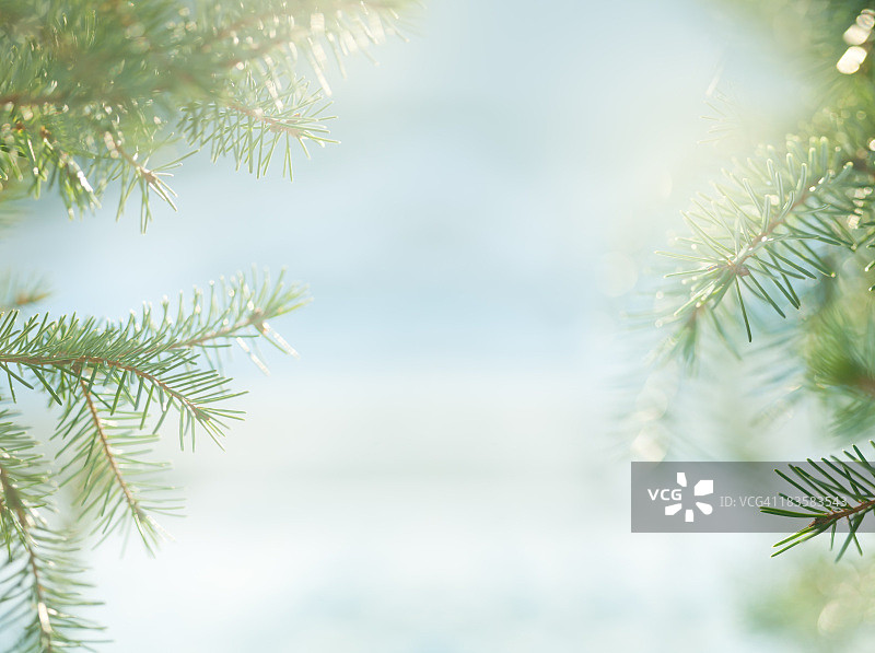 松树和雪的模糊镜头图片素材