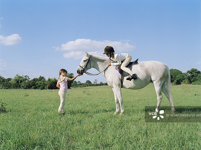 女孩(6-8)在田里喂姐姐(10-12)骑的马图片素材