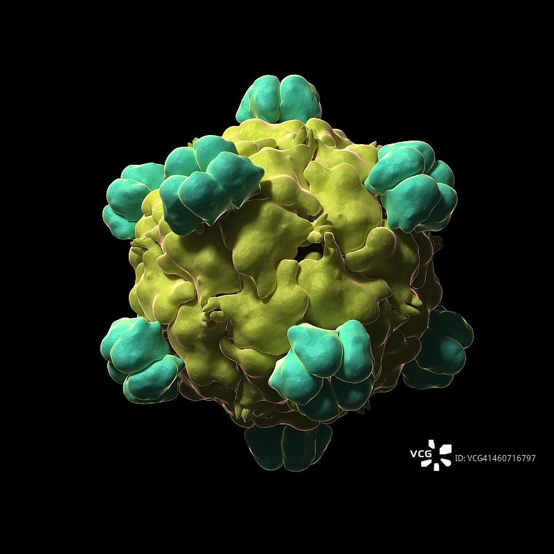 噬菌体X-174颗粒，插图图片素材