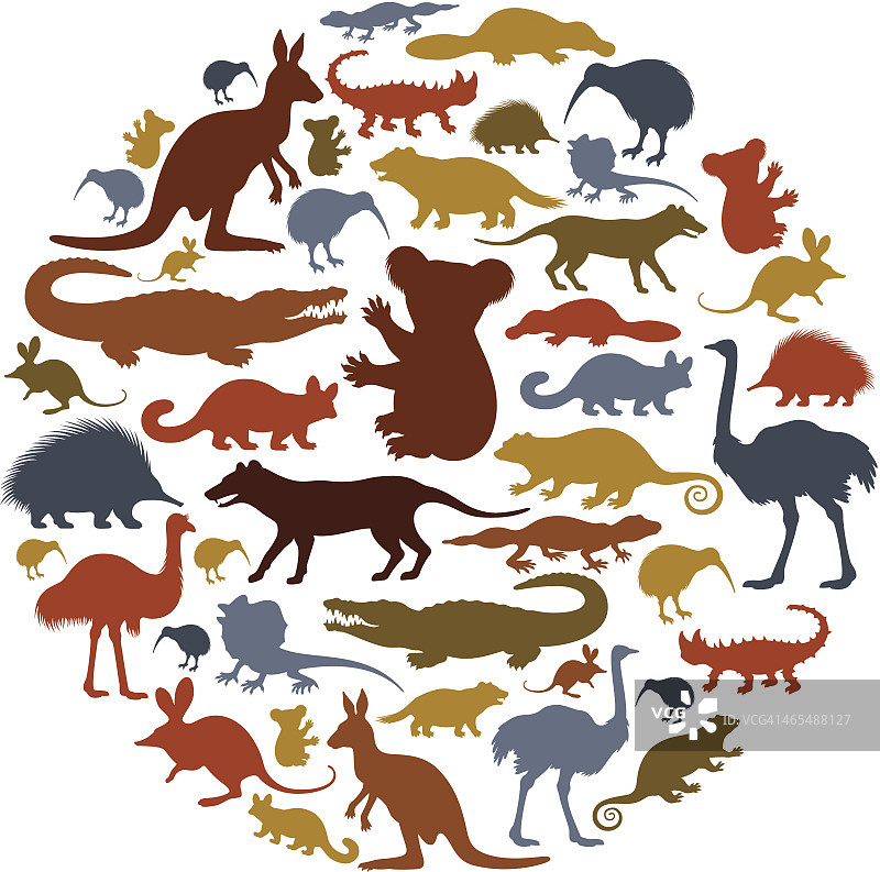 澳大利亚动物图标拼贴画图片素材