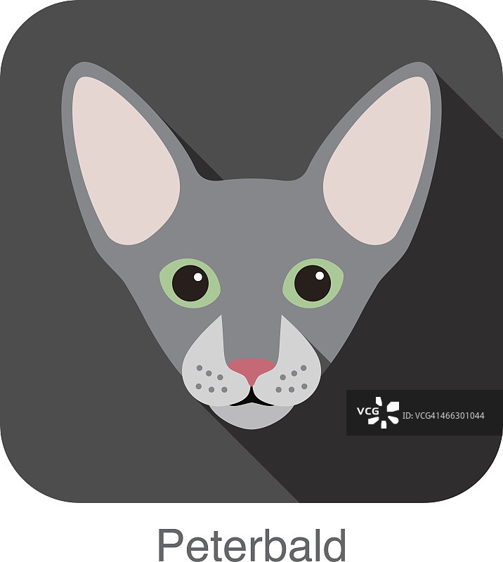 斑秃猫，猫品种脸卡通平面图标设计图片素材