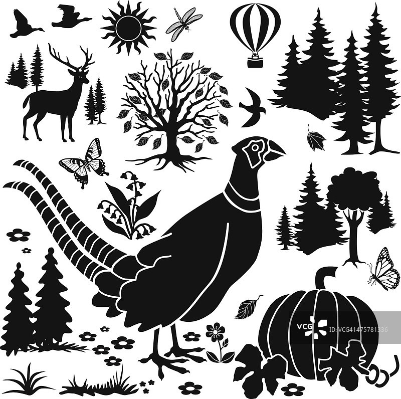 秋季田园设计元素以野鸡、鹿和南瓜为主图片素材