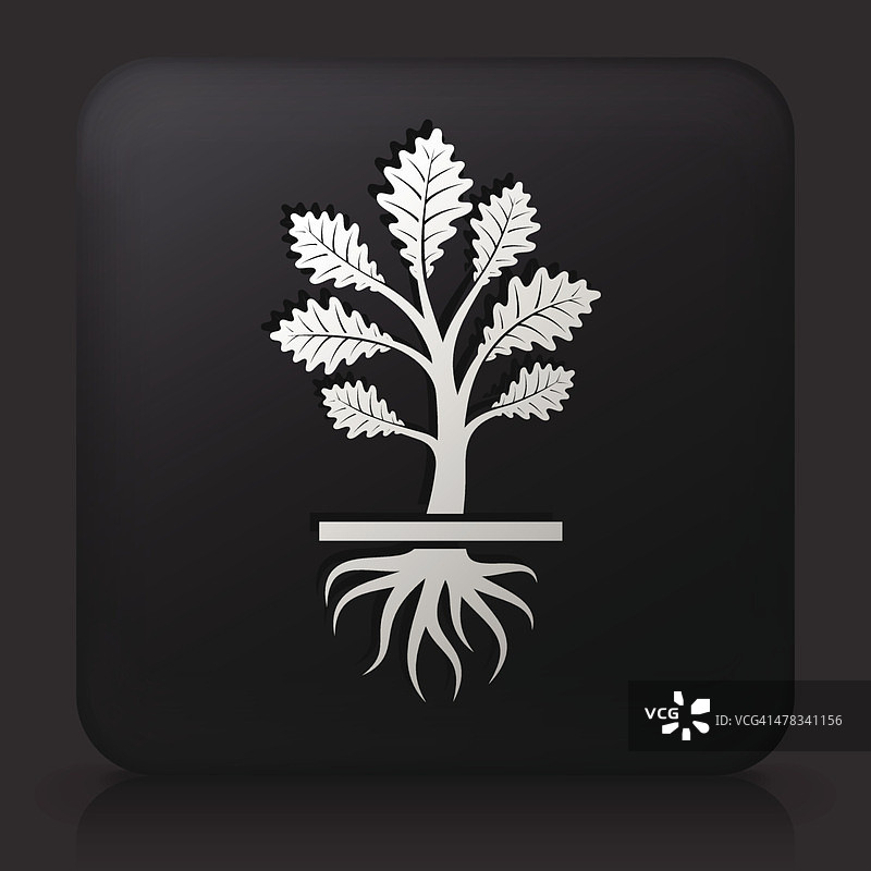 黑色方形按钮与生长的植物图片素材
