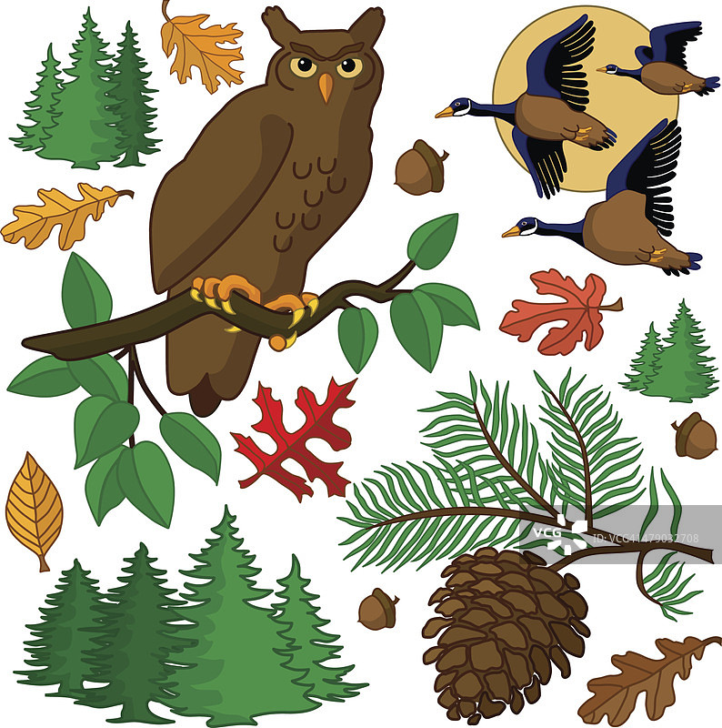 秋季的设计元素有猫头鹰和大雁图片素材