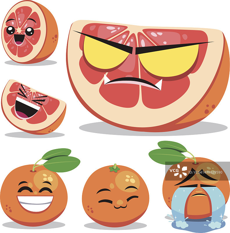 葡萄柚卡通套装B图片素材