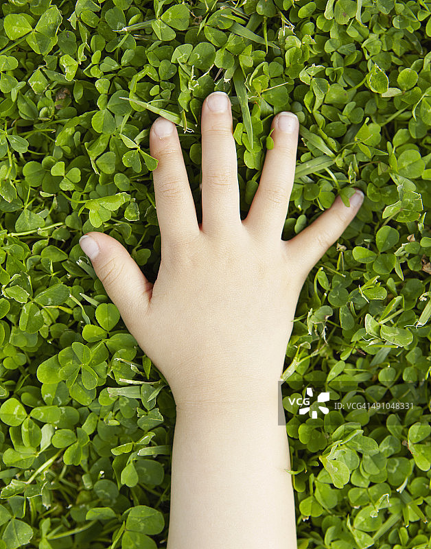 年轻女孩的手在绿色的草地上图片素材