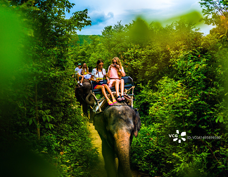 旅游游猎大象徒步旅行图片素材