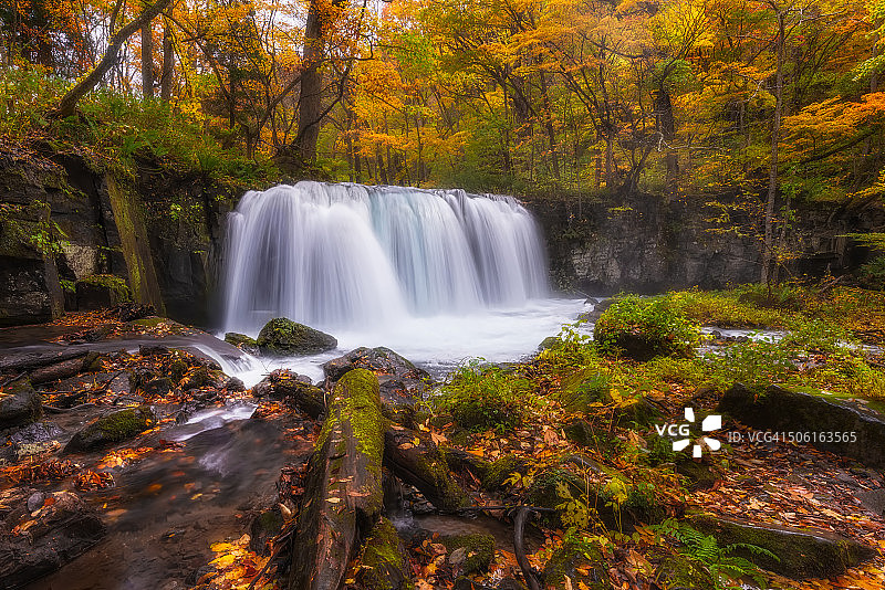 秋天的Oirase溪的瀑布图片素材