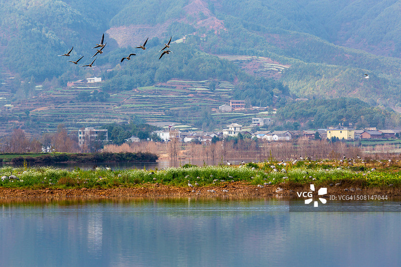 云南年湖的秋景图片素材