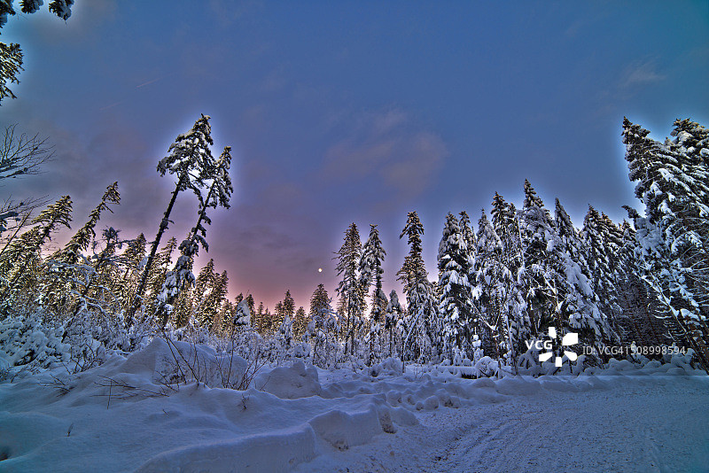 Hdr下雪的森林图片素材