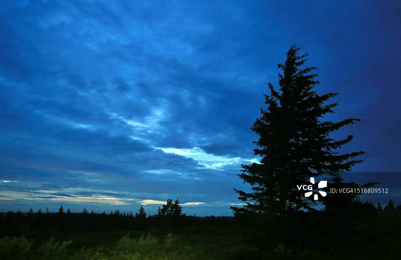 深蓝色天空上的剪影景观，多莉草皮荒野，西弗吉尼亚，美国图片素材