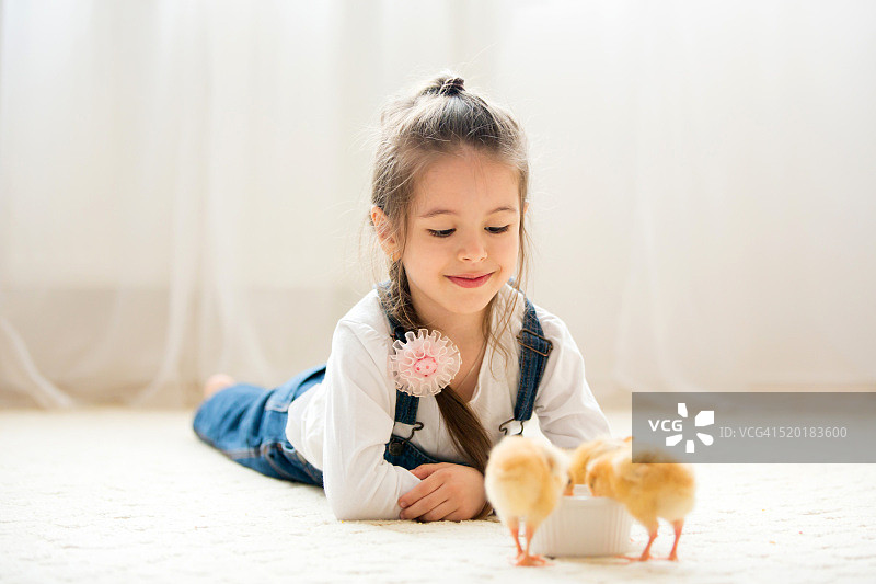 年轻漂亮的女孩，在家里和新生的小鸡玩，孤立在白色图片素材