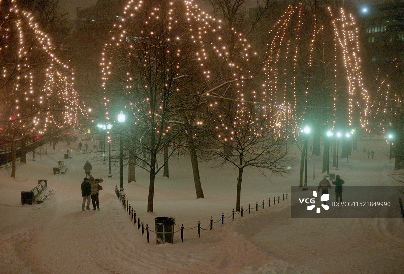 波士顿公园的圣诞彩灯图片素材