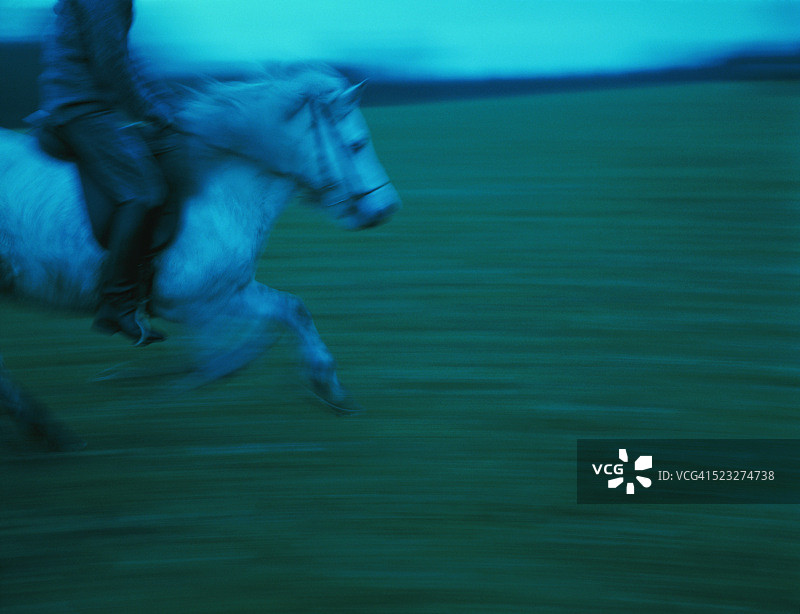 骑马在草地上的女人，斯塔恩伯格，德国图片素材