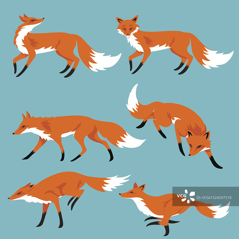一套卡通狐狸在蓝色的背景图片素材