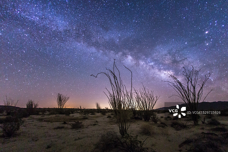 在Anza-Borrego沙漠的octillo森林上方的银河图片素材