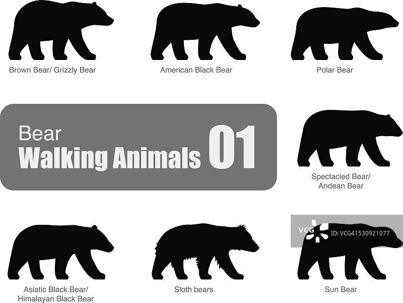 美国黑熊行走侧平3D图标设计图片素材
