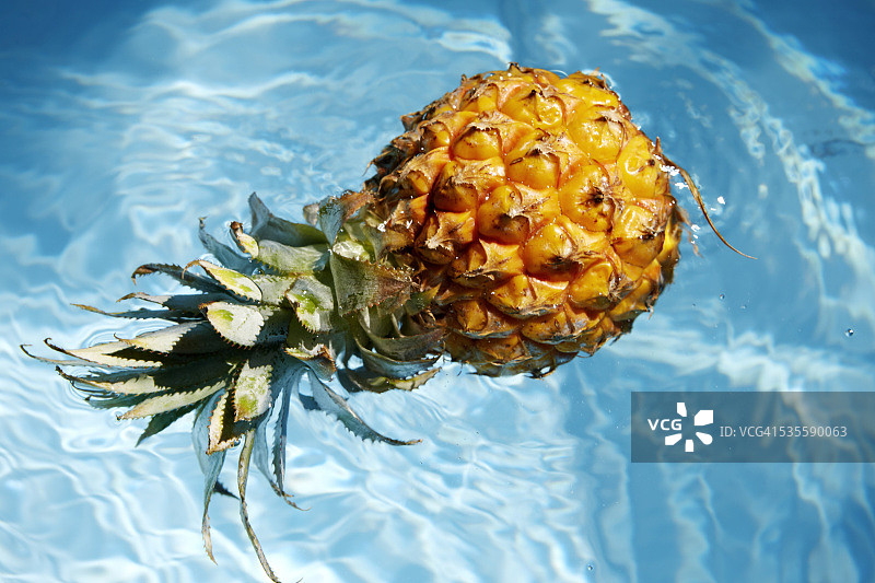 菠萝浮在水上图片素材