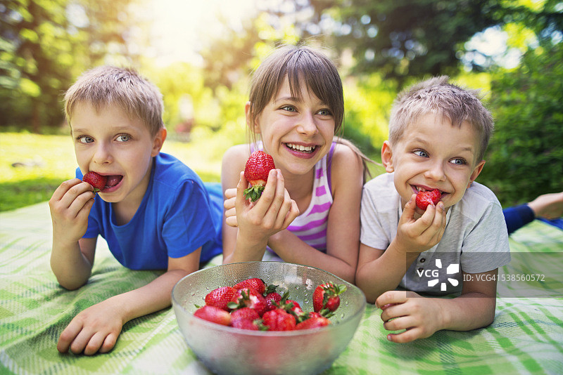 孩子们在花园里野餐和吃草莓图片素材