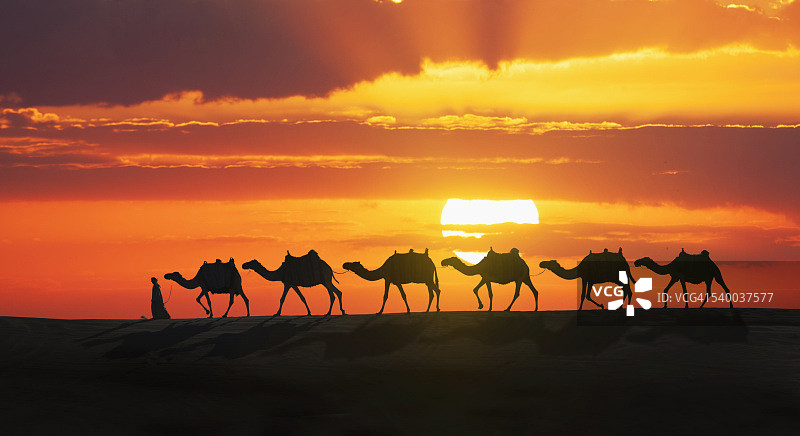 日落时的骆驼商队图片素材