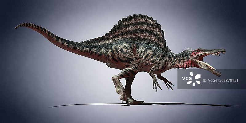 恐龙,插图图片素材