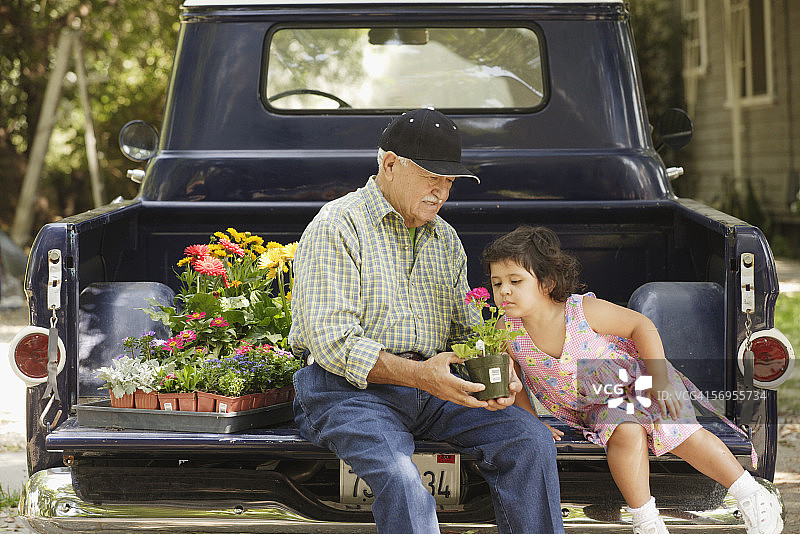 小女孩和爷爷在小卡车后面闻着花图片素材
