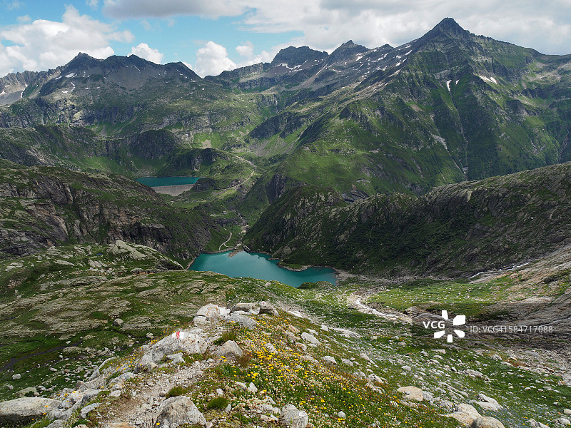 瑞士，提契诺，巴伐纳山谷，Robiei冰川小道上的野花图片素材