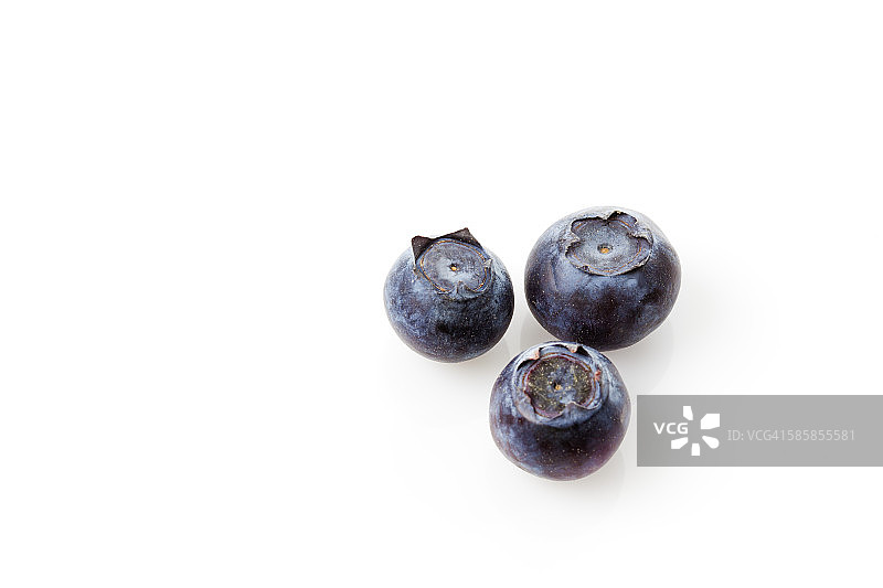 蓝莓,Vaccinium myrtillus图片素材